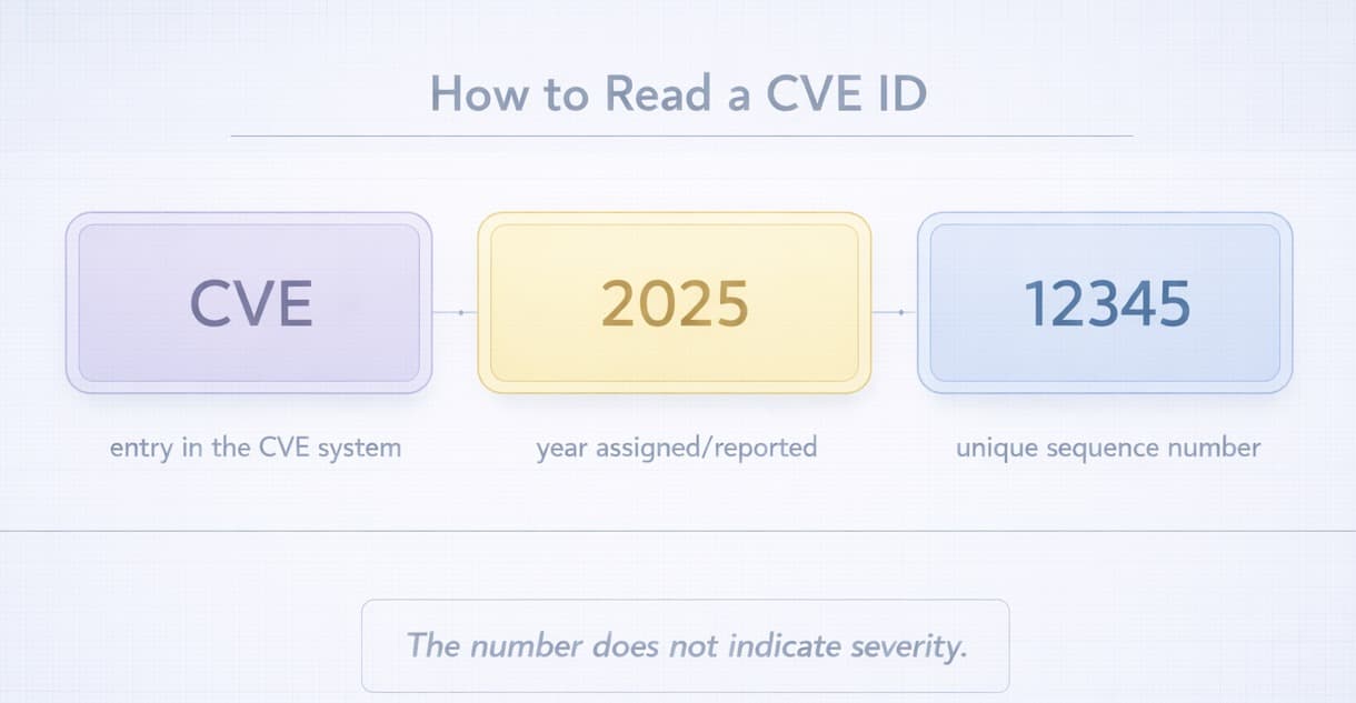 How to read a CVE ID