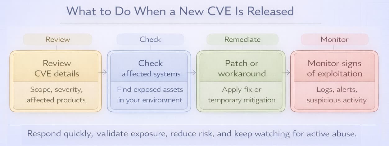What to Do When a New CVE Is Released