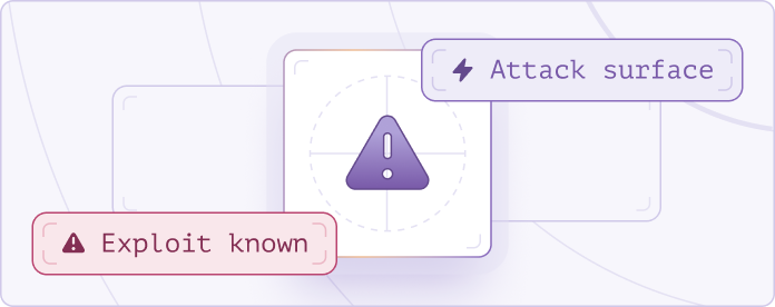 <p>Highlighted critical vulnerabilities</p>